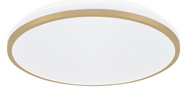 LINUS LED C 24W STROPNA SVJETILJKA