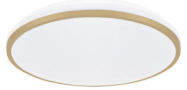 LINUS LED C 12W STROPNA SVJETILJKA