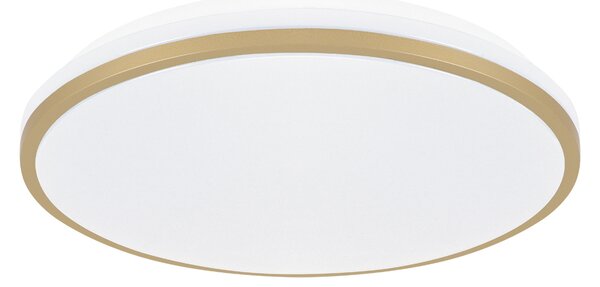 LINUS LED C 18W STROPNA SVJETILJKA