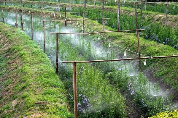 Vrtni sprej - vodootporna zavjesa 10m 2
