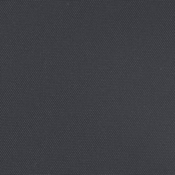 Bočna tenda na uvlačenje crna 220 x 1000 cm - Crna / 220 x 1000 cm