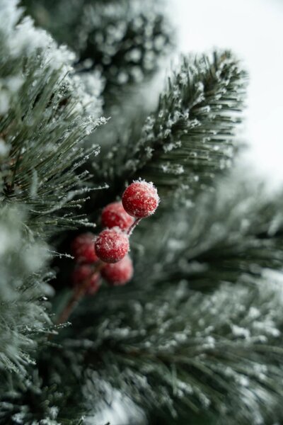 Umjetni bor - Christmas carol - 120cm