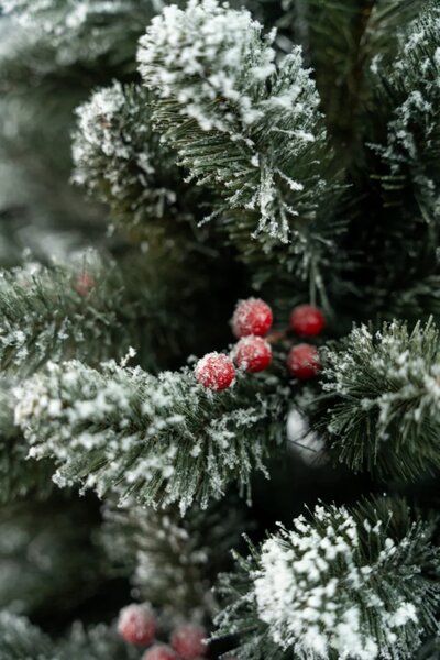 Umjetni bor - Christmas carol - 120cm
