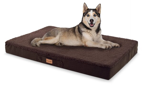 Brunolie Balu, podloga za psa, jastuk za psa, perivi, ortopedski, protuklizni, prozračna memorijska pjena, veličina L (100 × 10 × 65 cm)