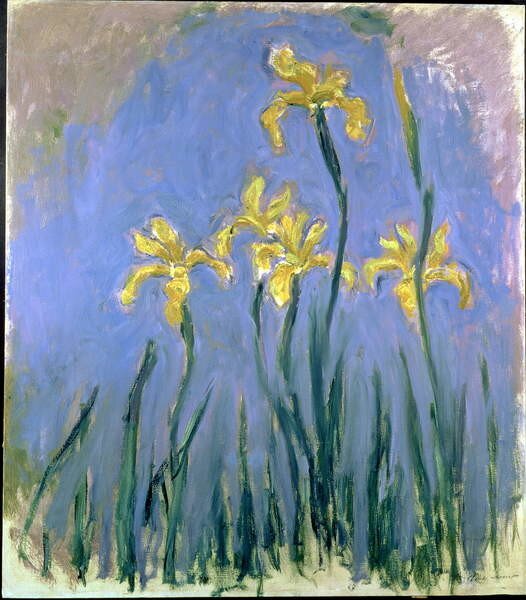 Monet, Claude - Reprodukcija umjetnosti Yellow Irises; Les Iris Jaunes, c.1918-1925, (35 x 40 cm)