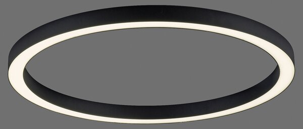 PURE LED stropna svjetiljka Lines, Ø 70 cm, antracit, CCT, daljinski upravljač, prigušiva, Crno, Dnevni boravak/blagovaonica, Metal