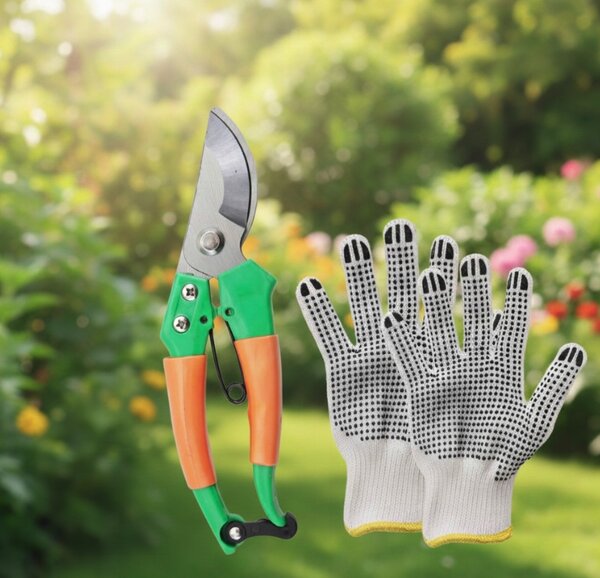 Ojačani vrtni plastenik PREMIUM 2 × 3 m + POKLON