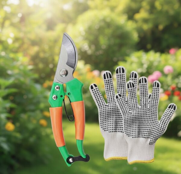 Ojačani vrtni plastenik PREMIUM 2,5 × 4 m + POKLON