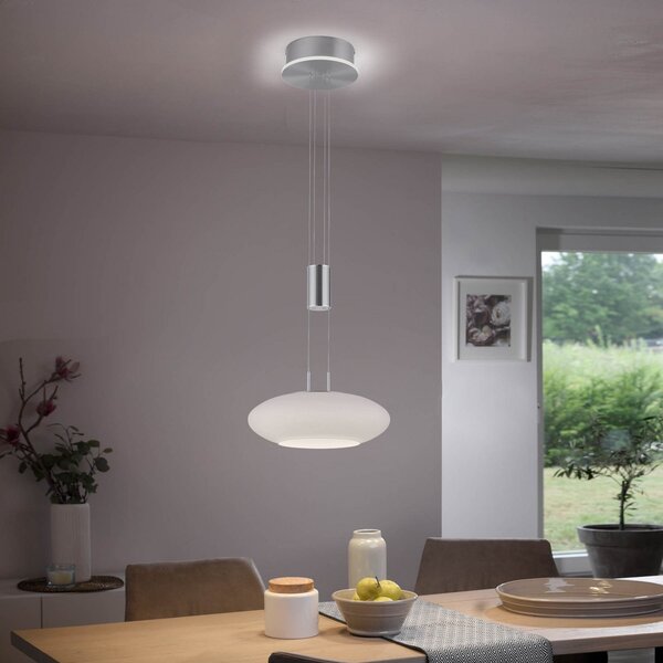 Q-Smart-Home Paul Neuhaus Q-ETIENNE LED viseća svjetiljka, 1 žarulja, prigušiva, Sivo, Dnevni boravak/blagovaonica, Metal