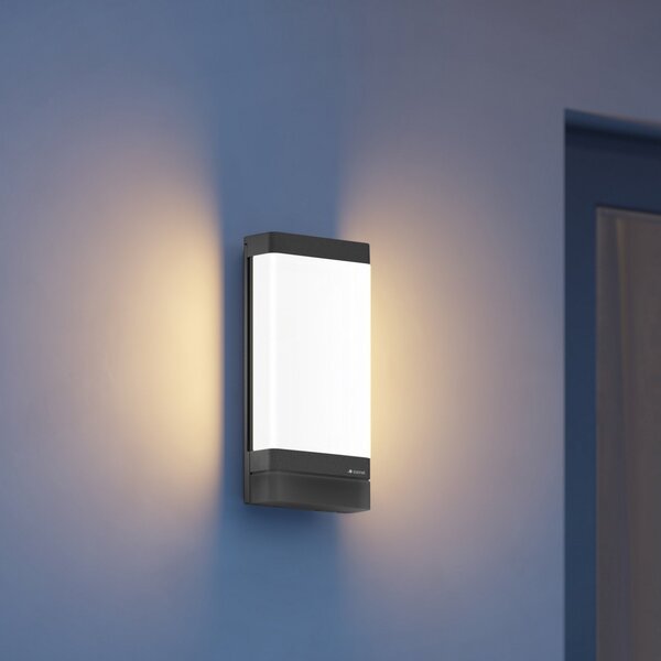 STEINEL Smart LED vanjska zidna svjetiljka L 271 DIGI C, antracit, IP44, prigušiva, Crno, Metal