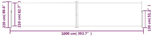 Uvlačiva bočna tenda crna 220 x 1000 cm - Crna / 220 x 1000 cm