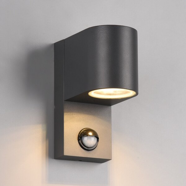 Trio Lighting Roya vanjska zidna svjetiljka 1 žarulja, senzor, okrugla antracit, prigušiva, Crno, Metal
