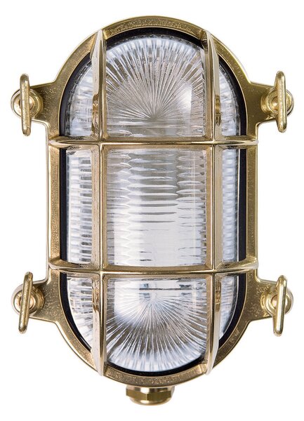 Moretti Luce Vanjska zidna lampa Tortuga ovalna 17cm prirodni mesing/prozirna, prigušiva, Zlato / mjed, Metal