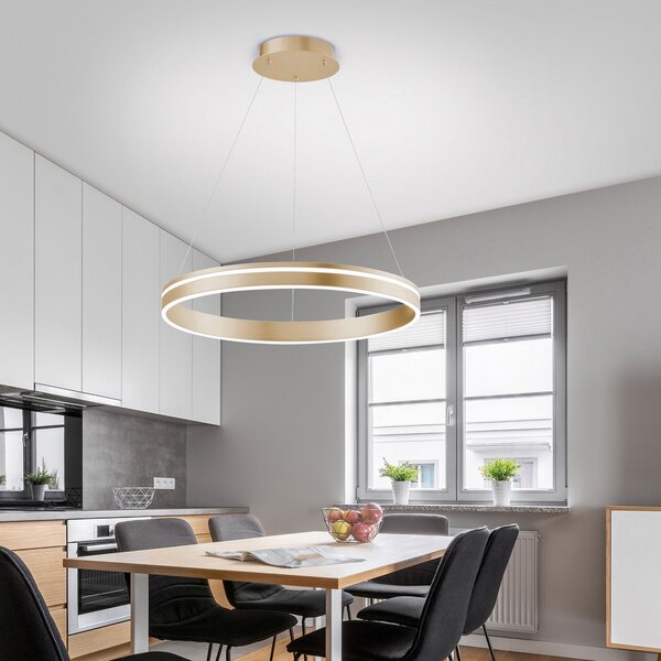 Q-Smart-Home Paul Neuhaus Q-VITO LED visilica, 1 prsten, prigušiva, Zlato / mjed, Dnevni boravak/blagovaonica, Metal