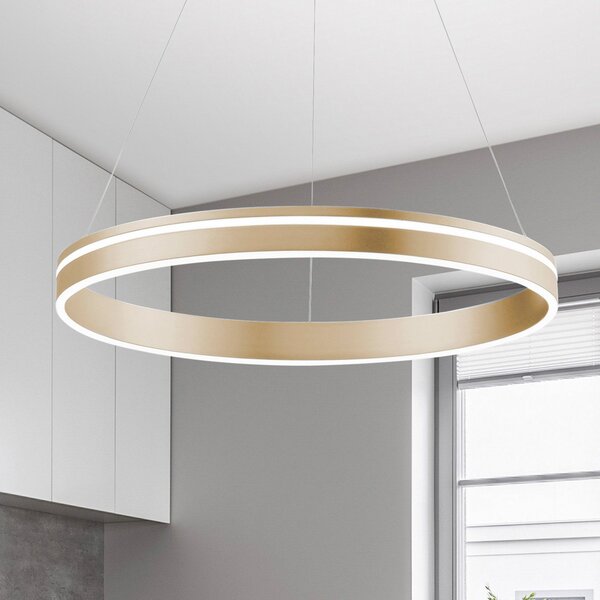 Q-Smart-Home Paul Neuhaus Q-VITO LED visilica, 1 prsten, prigušiva, Zlato / mjed, Dnevni boravak/blagovaonica, Metal