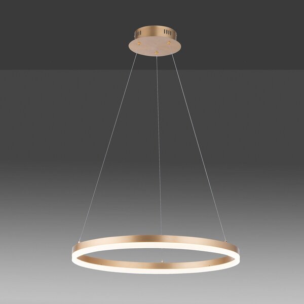 Paul Neuhaus LED viseća svjetiljka Titus, Ø 60 cm, mesing, mogućnost, prigušiva, Zlato / mjed, Dnevni boravak/blagovaonica, Metal