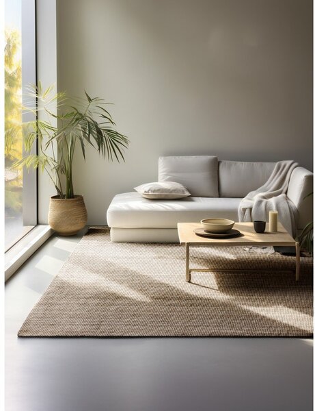 Smeđe-sivi juten tepih 160x230 cm Bouclé – Hanse Home
