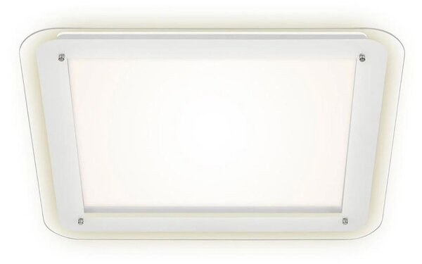 Briloner 3397-016 - LED Stropna svjetiljka FREE LED/22W/230V
