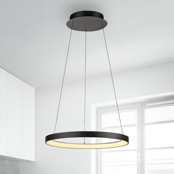 Paul Neuhaus LED viseća lampa Hoop, crna, Ø 57 cm, prigušiva, prigušiva, Crno, Dnevni boravak/blagovaonica, Aluminij