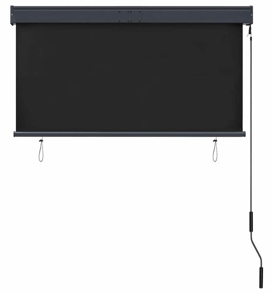 Vanjska roleta 120 x 250 cm antracit - Antracitno siva / 120 x 250 cm