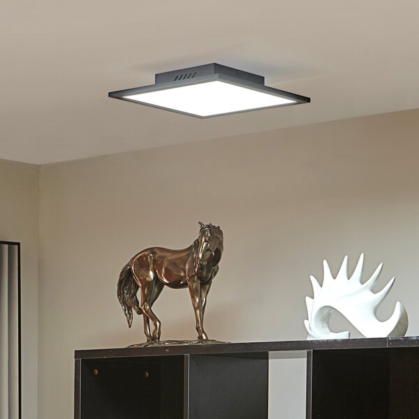 Lindby LED panel Lamin, crni, 30 cm, CCT, dimabilan, daljinski, prigušiva, Crno, Dnevni boravak/blagovaonica, Metal