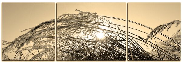 Slika na platnu - Zimsko jutro - panorama 545FC (150x50 cm)
