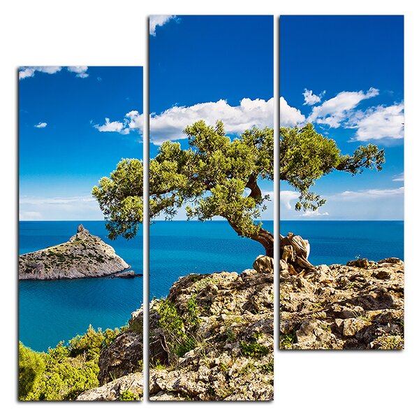 Slika na platnu - Bor na litici - kvadrat 349C (75x75 cm)