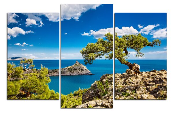 Slika na platnu - Bor na litici 149C (90x60 cm)