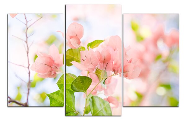 Slika na platnu - Papirnato cvijeće bugenvilije 157C (90x60 cm)
