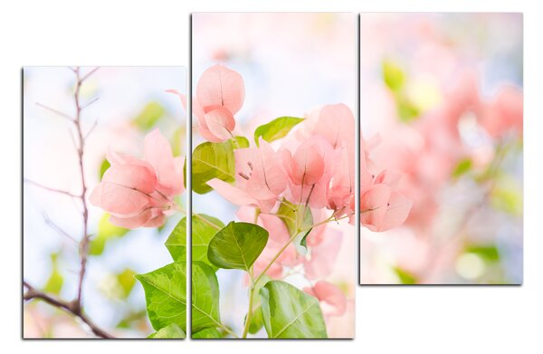 Slika na platnu - Papirnato cvijeće bugenvilije 157D (90x60 cm)
