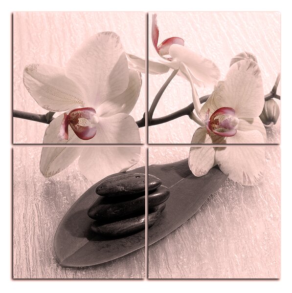 Slika na platnu - Cvjetovi orhideja - kvadrat 362FD (60x60 cm)