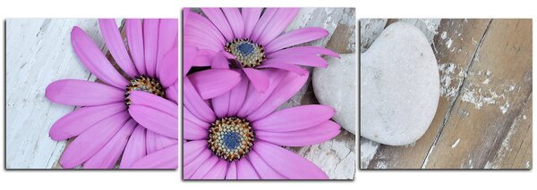 Slika na platnu - Cvijeće i kameno srce - panorama 583D (90x30 cm)