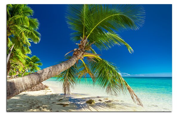 Slika na platnu - Plaža s palmama 184A (60x40 cm)