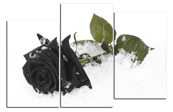 Slika na platnu - Ruža u snijegu 1103QD (90x60 cm)