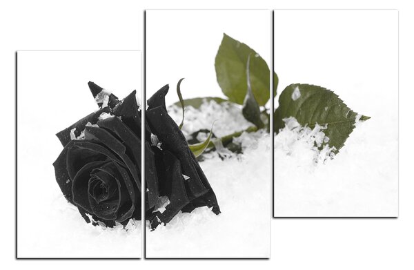 Slika na platnu - Ruža u snijegu 1103QC (90x60 cm)