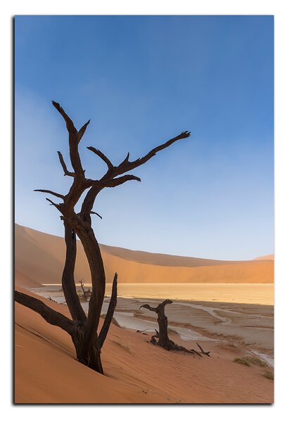 Slika na platnu - Mrtvo stablo u dinama - pravokutnik 7130A (60x40 cm)