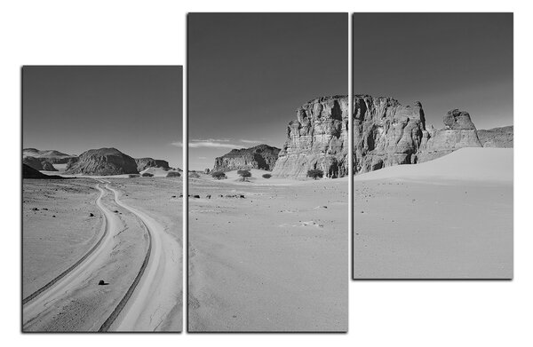 Slika na platnu - Cesta u pustinji 1129QD (90x60 cm)
