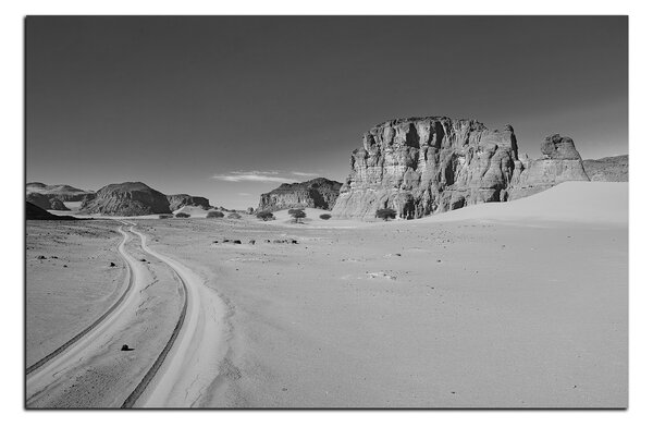 Slika na platnu - Cesta u pustinji 1129QA (60x40 cm)