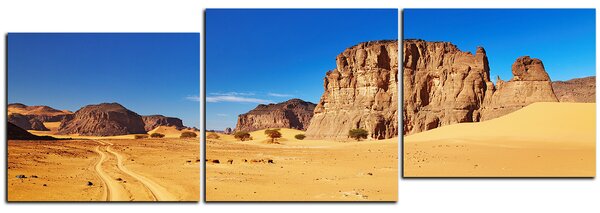 Slika na platnu - Cesta u pustinji - panorama 5129E (90x30 cm)