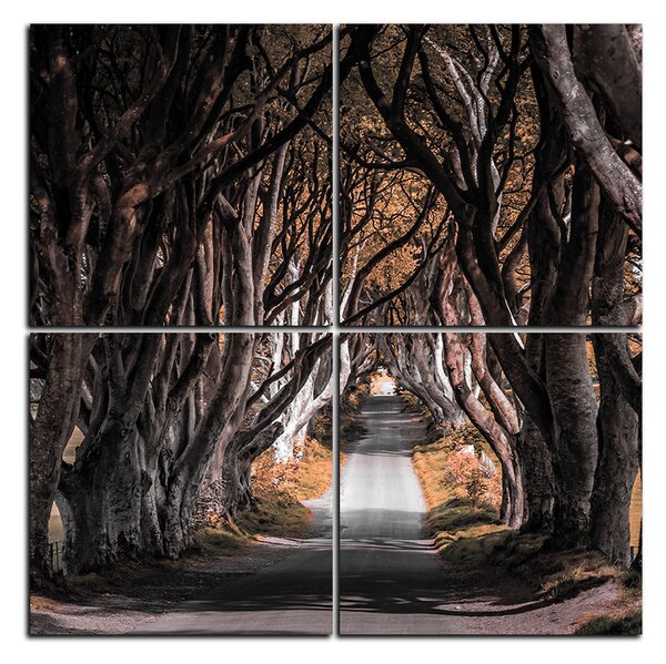 Slika na platnu - Mračne ograde u Irskoj - kvadrat 3134FD (60x60 cm)