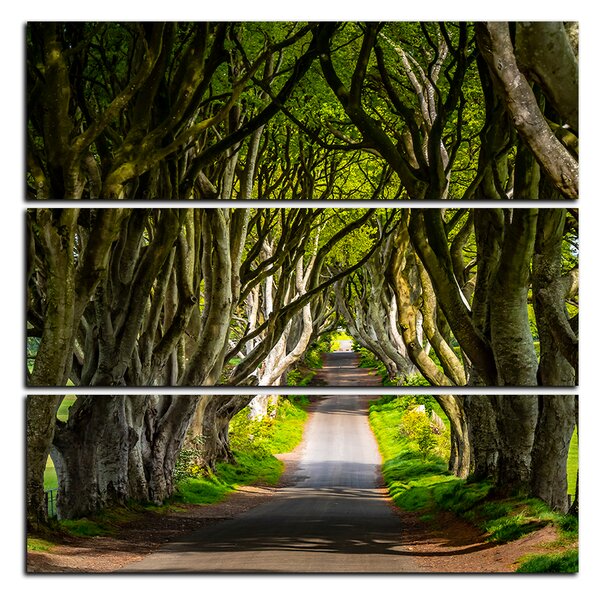 Slika na platnu - Mračne ograde u Irskoj - kvadrat 3134C (75x75 cm)