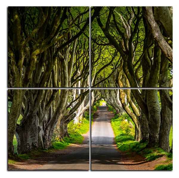 Slika na platnu - Mračne ograde u Irskoj - kvadrat 3134D (60x60 cm)