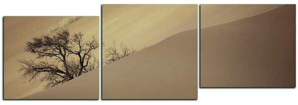 Slika na platnu - Crvene pješčane dine - panorama 5133FD (90x30 cm)