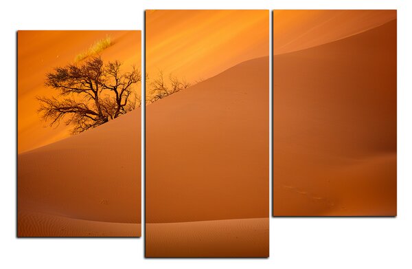 Slika na platnu - Crvene pješčane dine 1133D (90x60 cm)