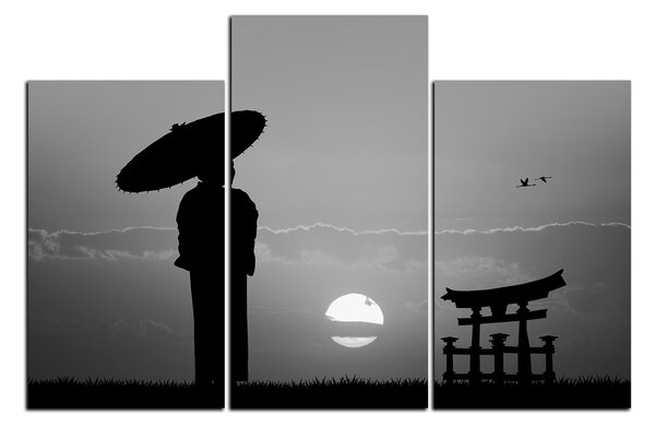 Slika na platnu - Japanka 1168QC (90x60 cm)