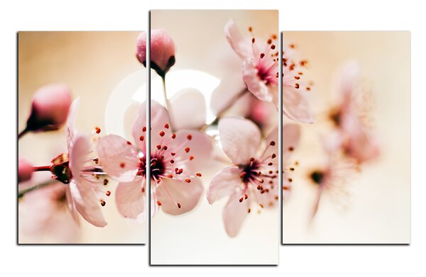 Slika na platnu - Mali cvjetovi na grani 1173C (90x60 cm)