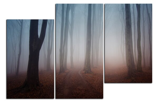 Slika na platnu - Magla u šumi 1182D (90x60 cm)