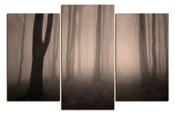 Slika na platnu - Magla u šumi 1182FC (90x60 cm)