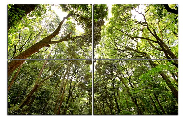 Slika na platnu - Zeleno drveće u šumi 1194E (120x80 cm)