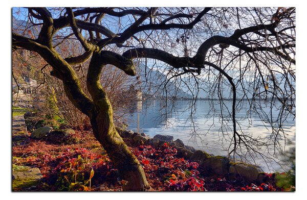 Slika na platnu - Jesen kraj jezera 1198A (60x40 cm)